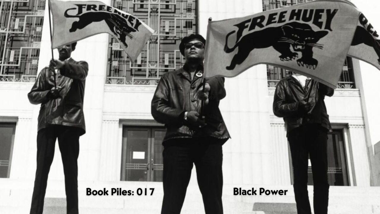 70s Black Porn Ghetto - Surviving is Criminal: The Black Panther Party and Revolution - nicky  website